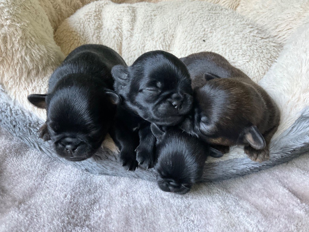 DES BÉBÉS POUR 2025 