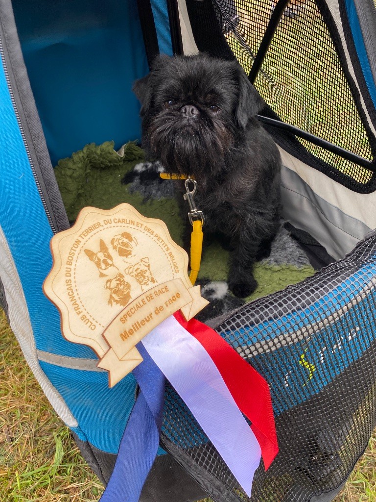 TAHO, CHAMPION DE FRANCE